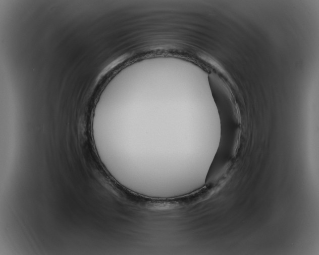 X0000082980826200703020255