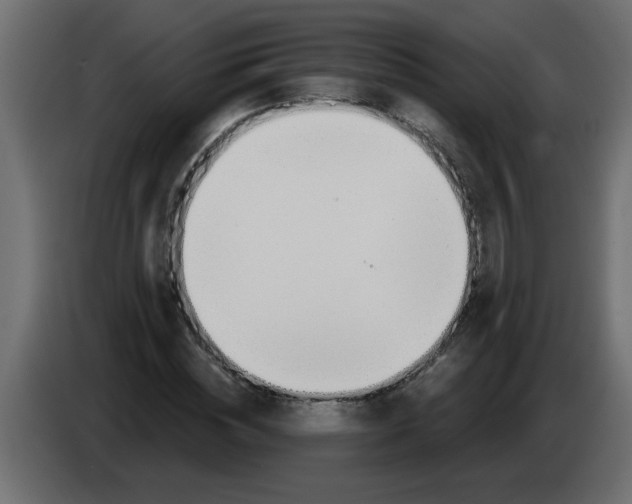 X0000082980828200703020255