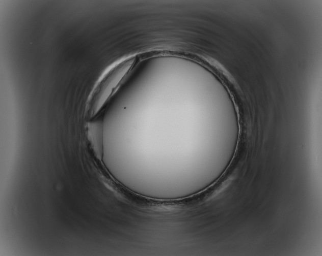 X0000082980830200703020255
