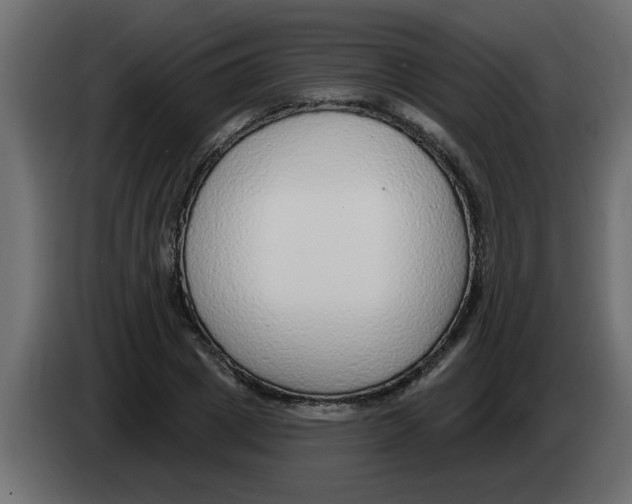 X0000082980833200703020255