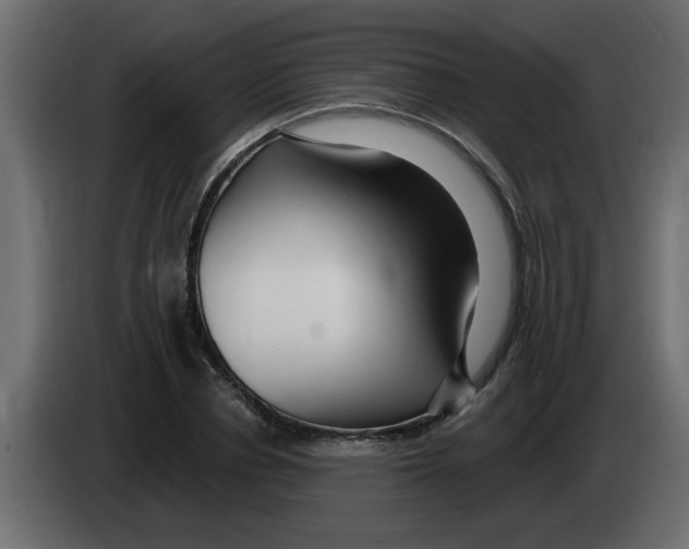 X0000082980834200703020255
