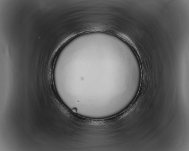 X0000082980835200703020255