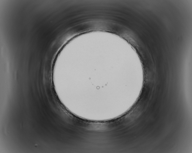 X0000082980836200703020255
