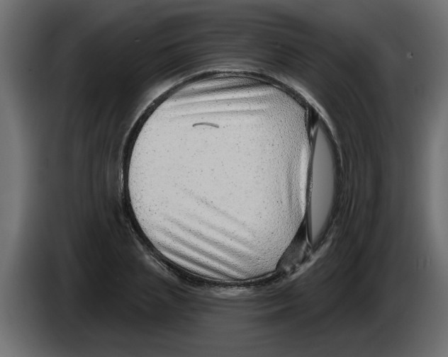 X0000082980837200703020255