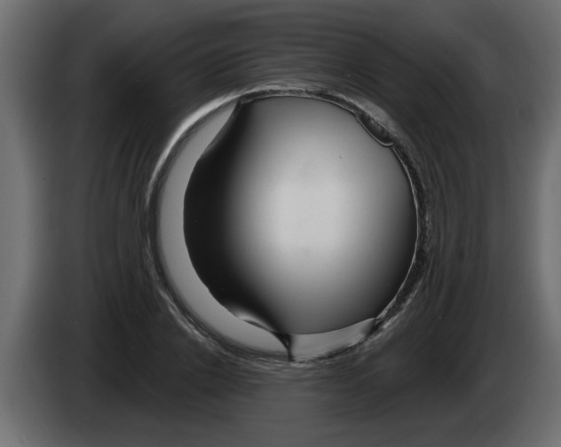 X0000082980838200703020255