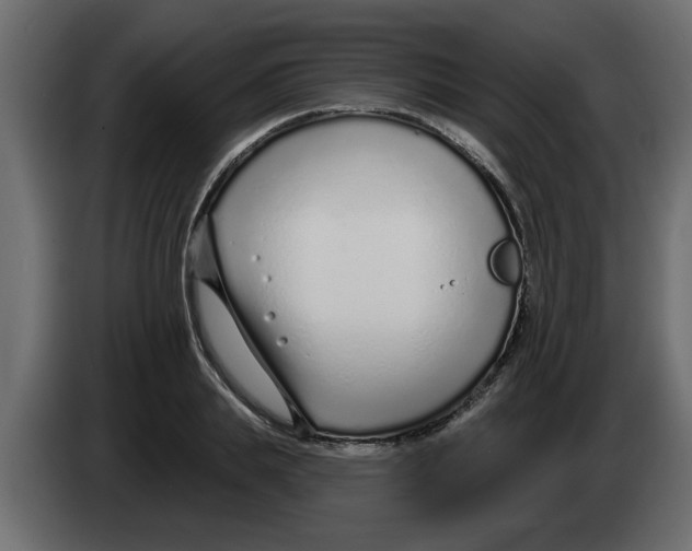 X0000082980839200703020255