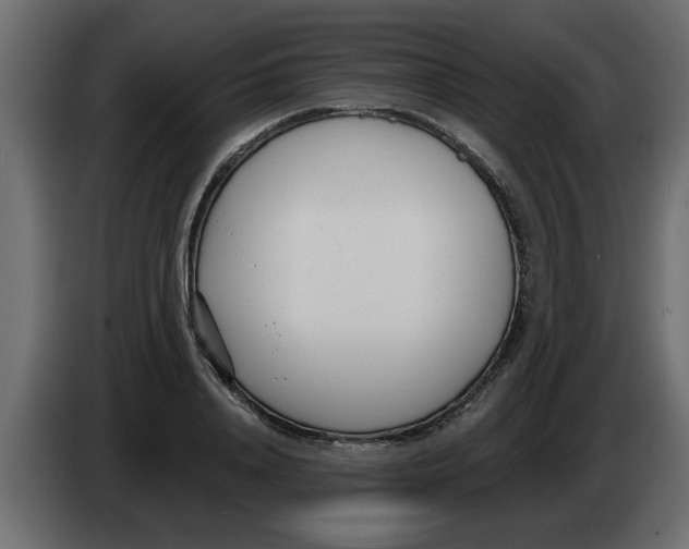 X0000082980840200703020255