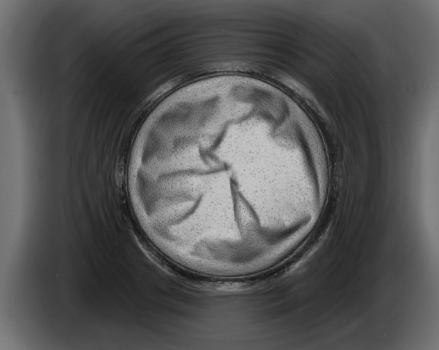 X0000082980841200703020255