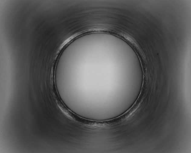 X0000082980842200703020255