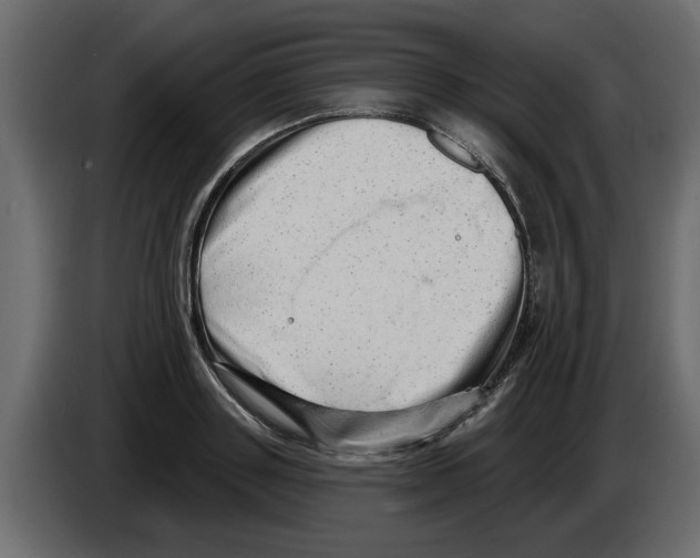X0000082980843200703020255