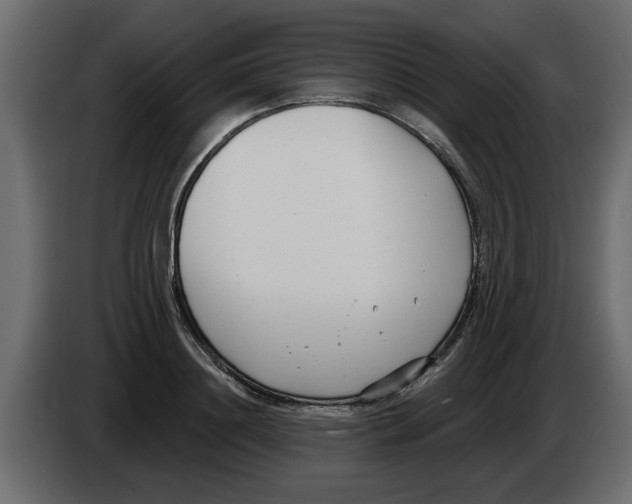 X0000082980844200703020255