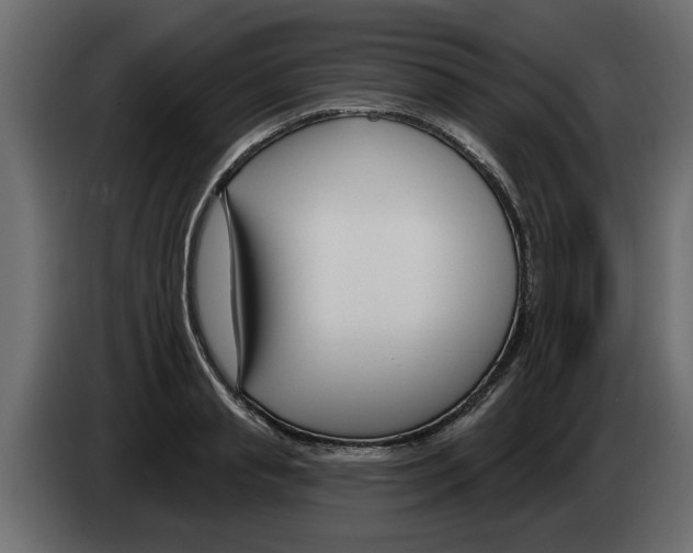 X0000082980845200703020255