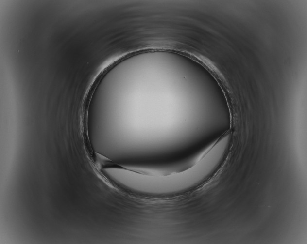 X0000082980846200703020255