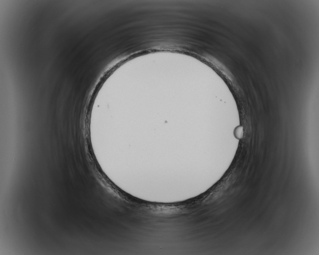 X0000082980848200703020255