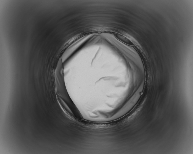 X0000082980849200703020255