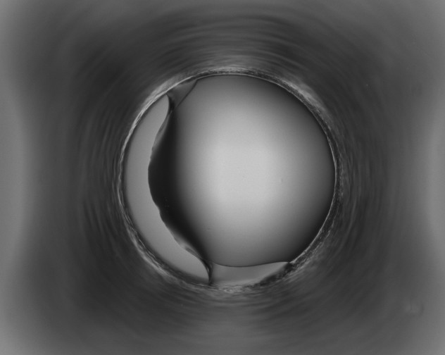 X0000082980850200703020255