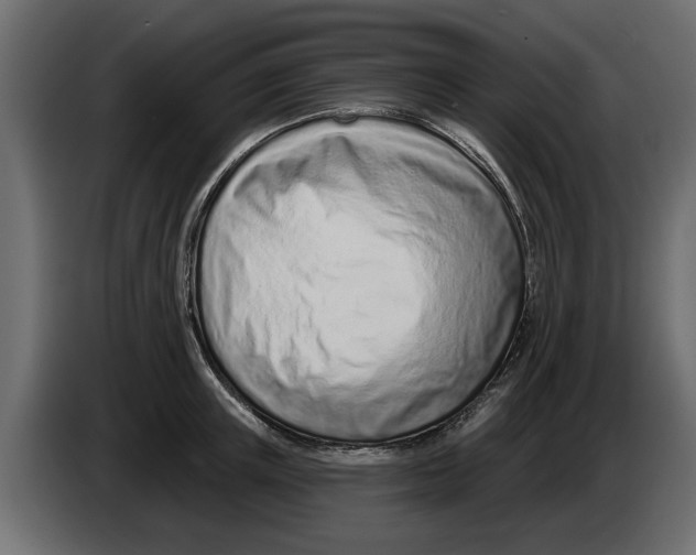 X0000082980851200703020255