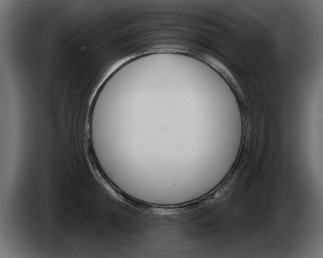 X0000082980852200703020255