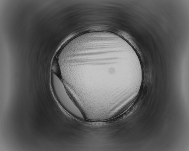 X0000082980853200703020255