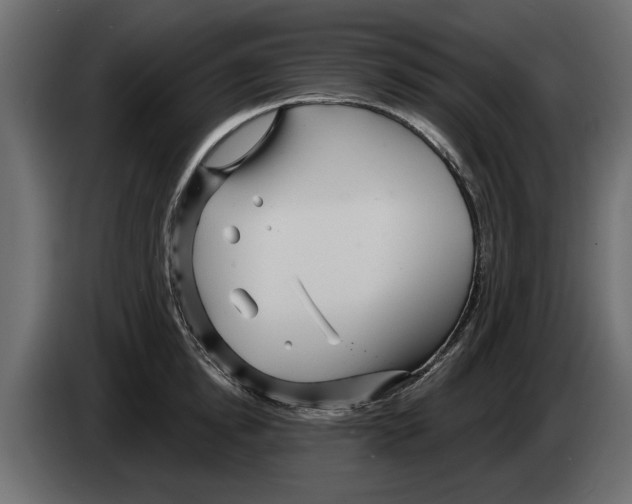 X0000082980854200703020255