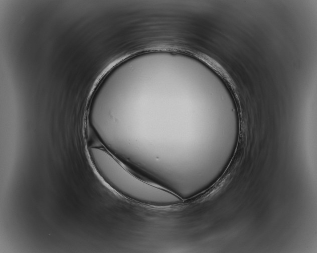 X0000082980855200703020255
