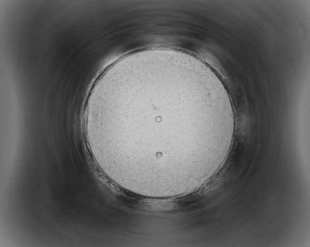 X0000082980856200703020255