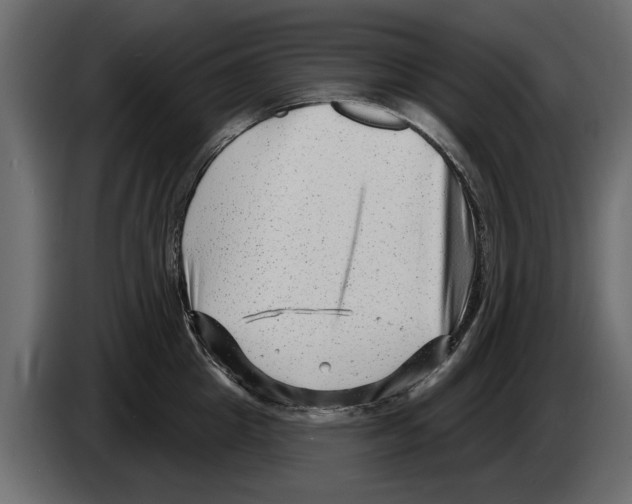 X0000082980857200703020255