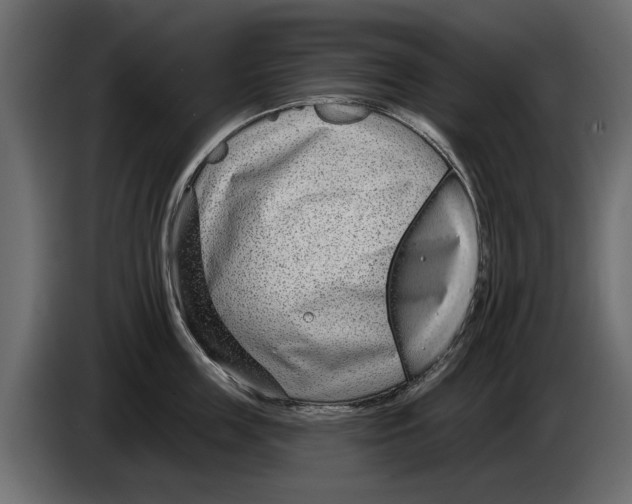 X0000082980859200703020255