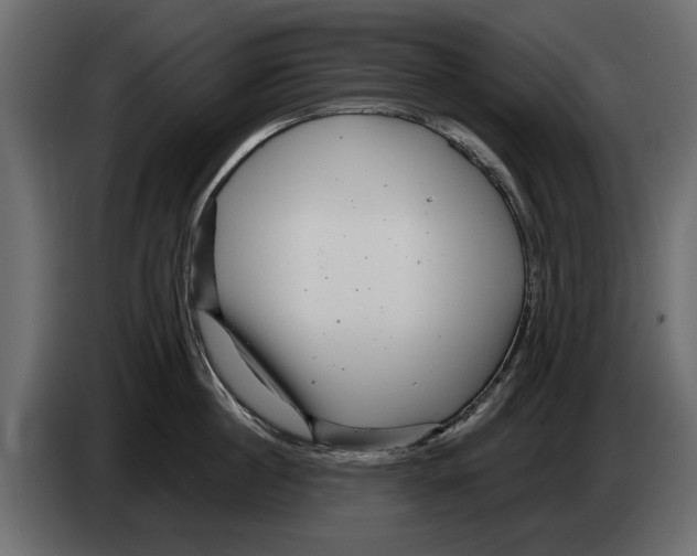 X0000082980860200703020255