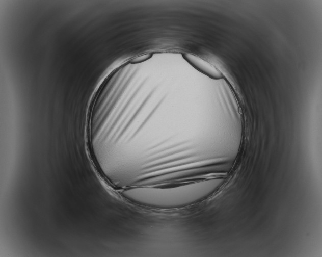 X0000082980861200703020255