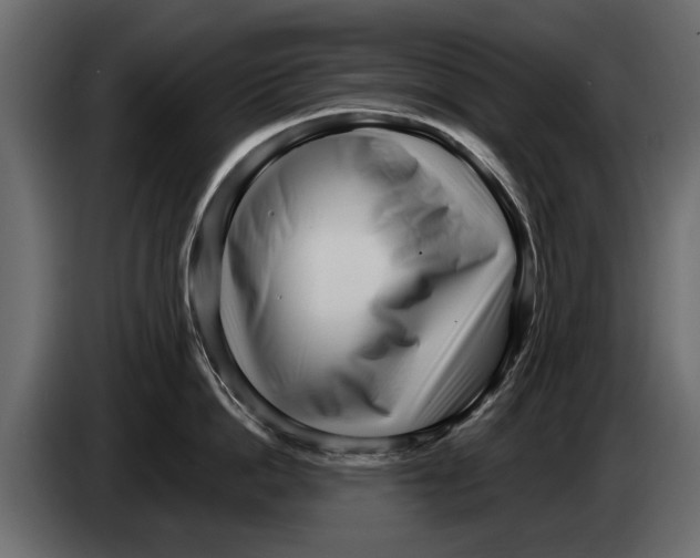 X0000082980862200703020255