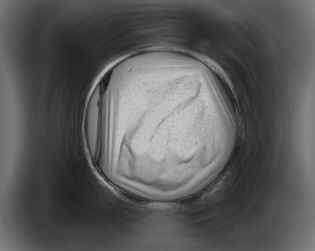 X0000082980863200703020255