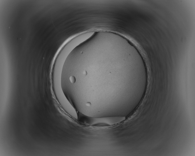 X0000082980864200703020255