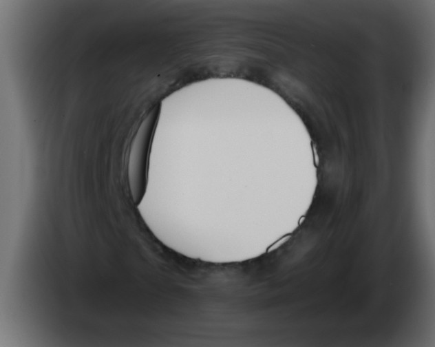 X0000082980865200703020255