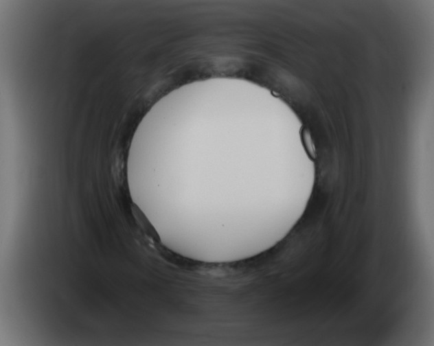 X0000082980866200703020254