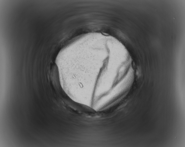 X0000082980867200703020254