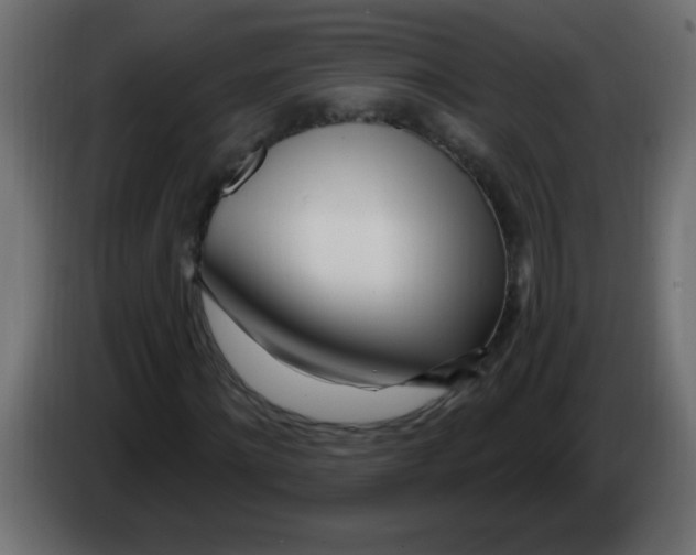 X0000082980868200703020254