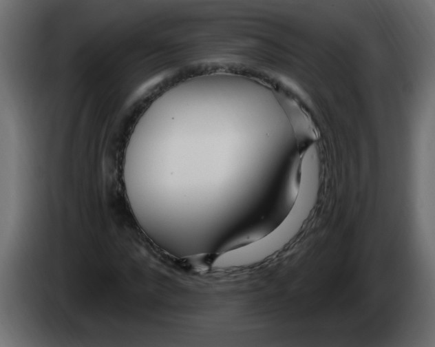X0000082980872200703020254