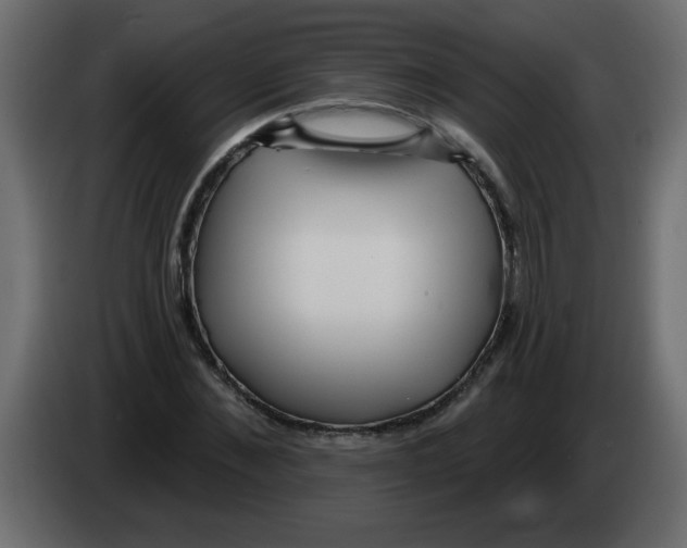 X0000082980876200703020254