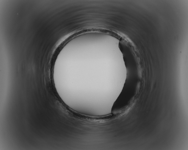 X0000082980877200703020254