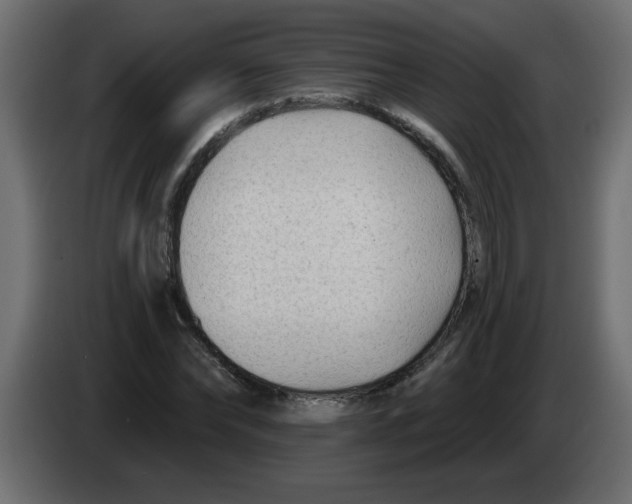 X0000082980878200703020254