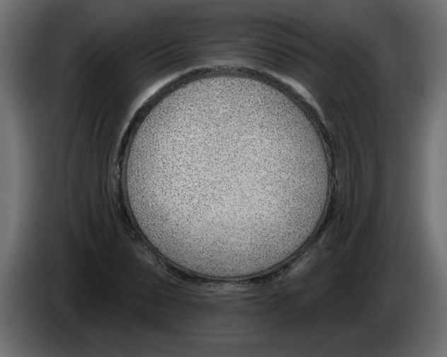 X0000082980879200703020254
