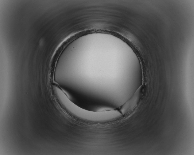 X0000082980880200703020254