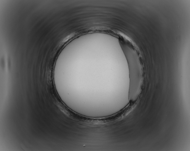X0000082980881200703020254