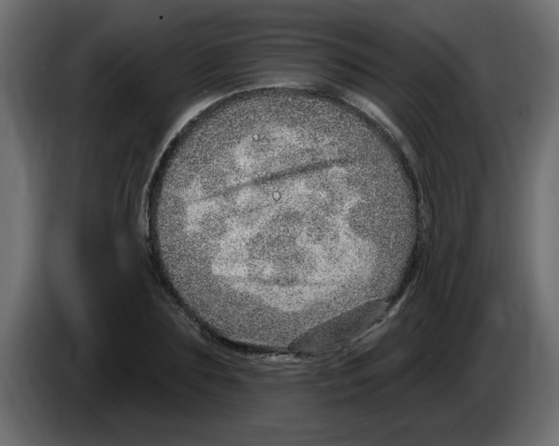 X0000082980883200703020254