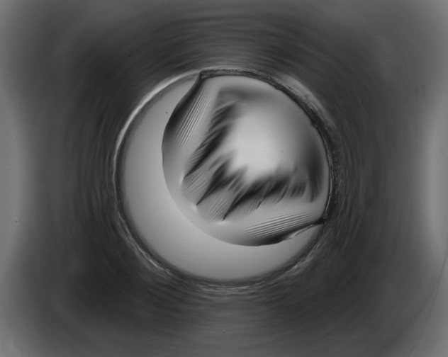 X0000082980884200703020254