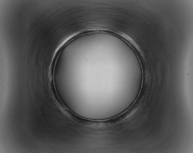 X0000082980885200703020254