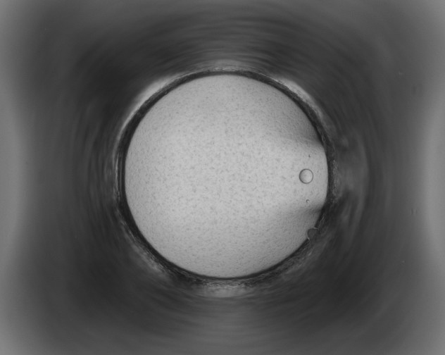X0000082980886200703020254