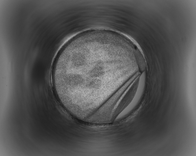 X0000082980887200703020254