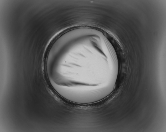 X0000082980888200703020254